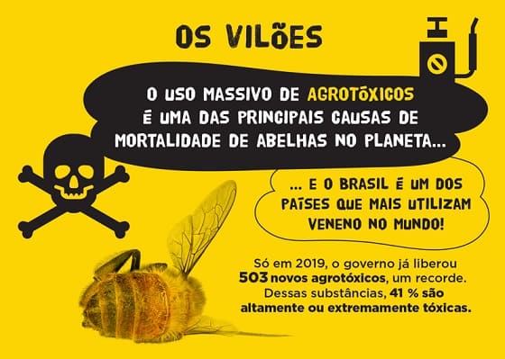 Abelhas em Extinção Devido os Agrotóxicos