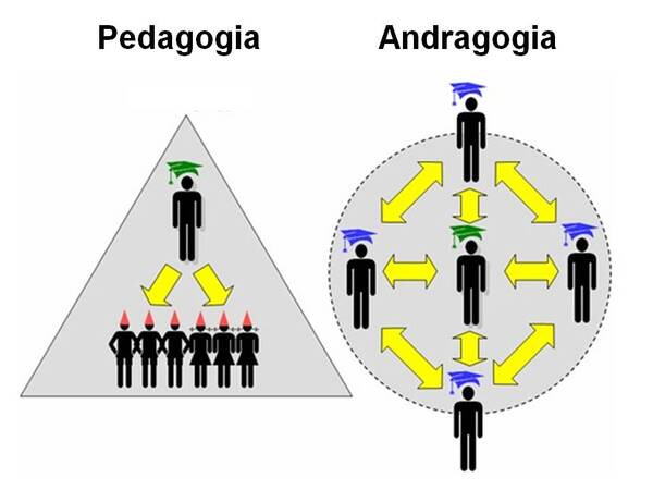Diferenças entre Pedagogia e Andragogia Diferenças entre Pedagogia e Andragogia
