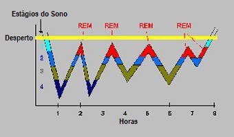 Os Estágios do Sono Monofásico Os Estágios do Sono Monofásico