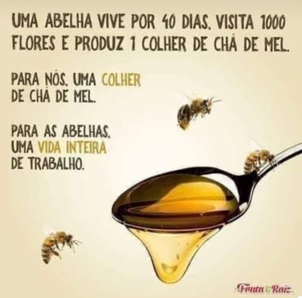 Produção de Mel pelas Abelhas