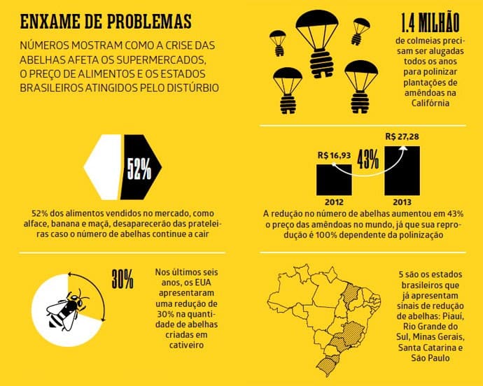 Redução ou Extinção das Abelhas em Diversos Lugares