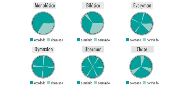 Tipos de Sono Polifásico Tipos de Sono Polifásico